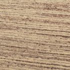 Dicker Teppich aus Wolle 199x291 wollteppich für das Wohnzimmer