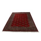 Teppich Pakistan rot Jaldar 156x248 handgeknüpfter Orientteppich