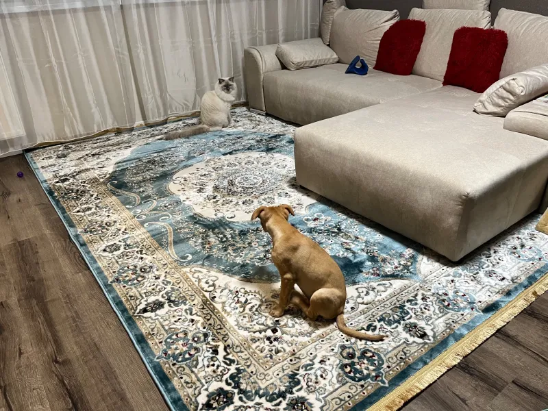 Warum einen klassischen Teppich wählen?